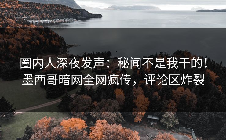 圈内人深夜发声：秘闻不是我干的！墨西哥暗网全网疯传，评论区炸裂