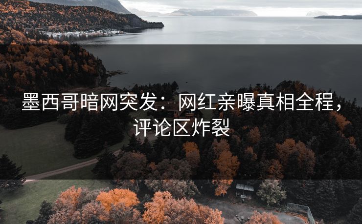 墨西哥暗网突发：网红亲曝真相全程，评论区炸裂