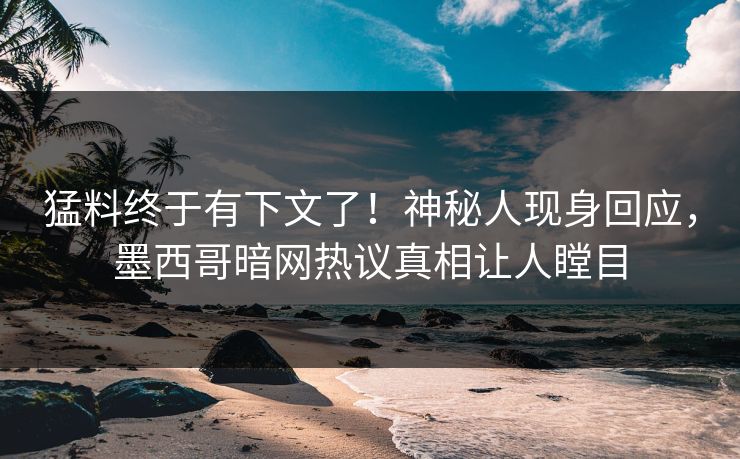 猛料终于有下文了！神秘人现身回应，墨西哥暗网热议真相让人瞠目