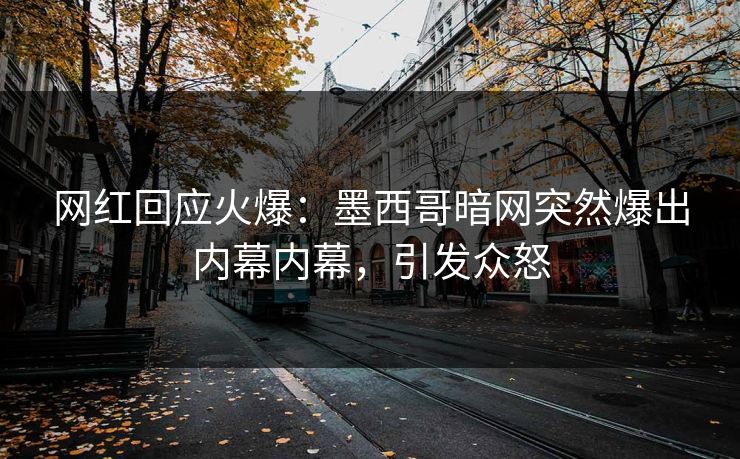 网红回应火爆：墨西哥暗网突然爆出内幕内幕，引发众怒