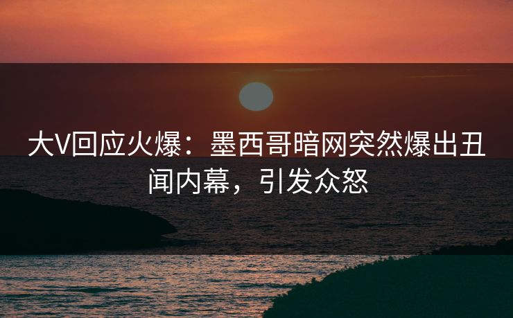 大V回应火爆：墨西哥暗网突然爆出丑闻内幕，引发众怒