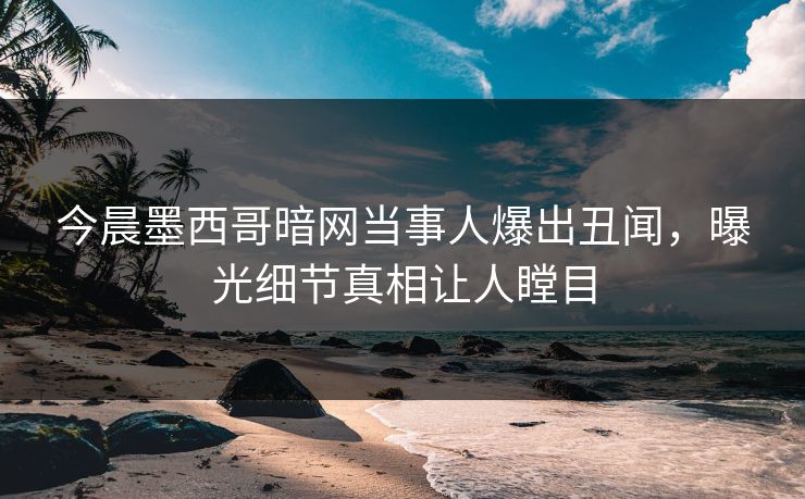 今晨墨西哥暗网当事人爆出丑闻，曝光细节真相让人瞠目