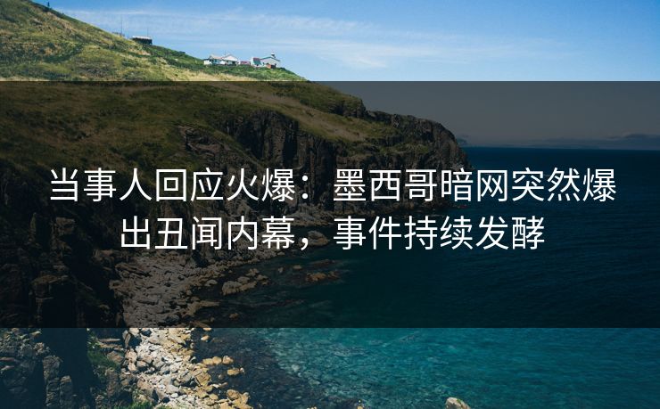 当事人回应火爆：墨西哥暗网突然爆出丑闻内幕，事件持续发酵