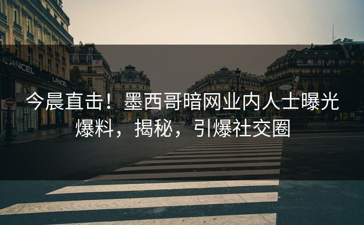 今晨直击！墨西哥暗网业内人士曝光爆料，揭秘，引爆社交圈