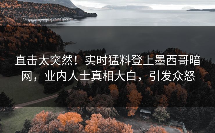 直击太突然！实时猛料登上墨西哥暗网，业内人士真相大白，引发众怒
