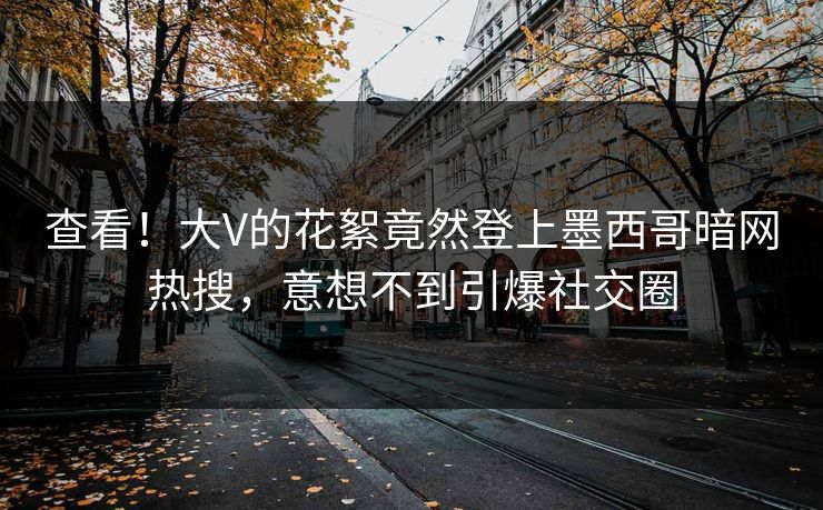 查看！大V的花絮竟然登上墨西哥暗网热搜，意想不到引爆社交圈