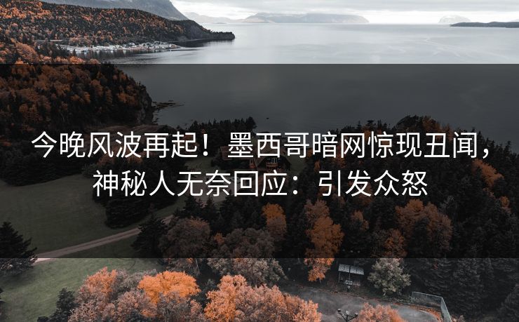 今晚风波再起！墨西哥暗网惊现丑闻，神秘人无奈回应：引发众怒