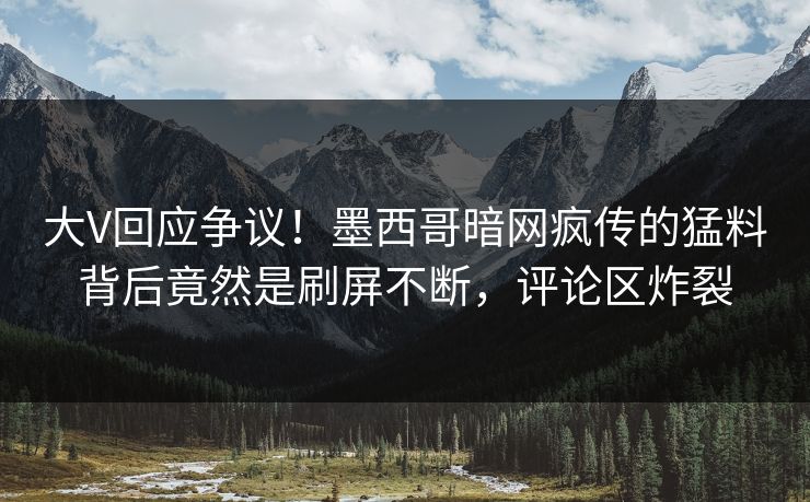 大V回应争议！墨西哥暗网疯传的猛料背后竟然是刷屏不断，评论区炸裂
