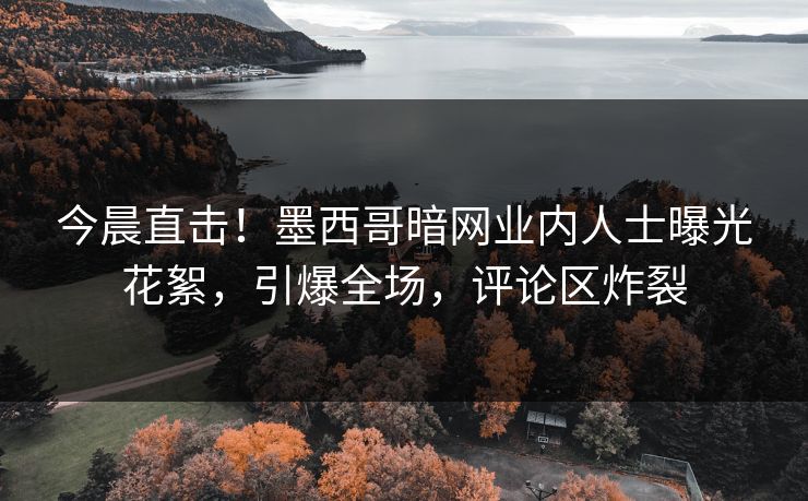今晨直击！墨西哥暗网业内人士曝光花絮，引爆全场，评论区炸裂